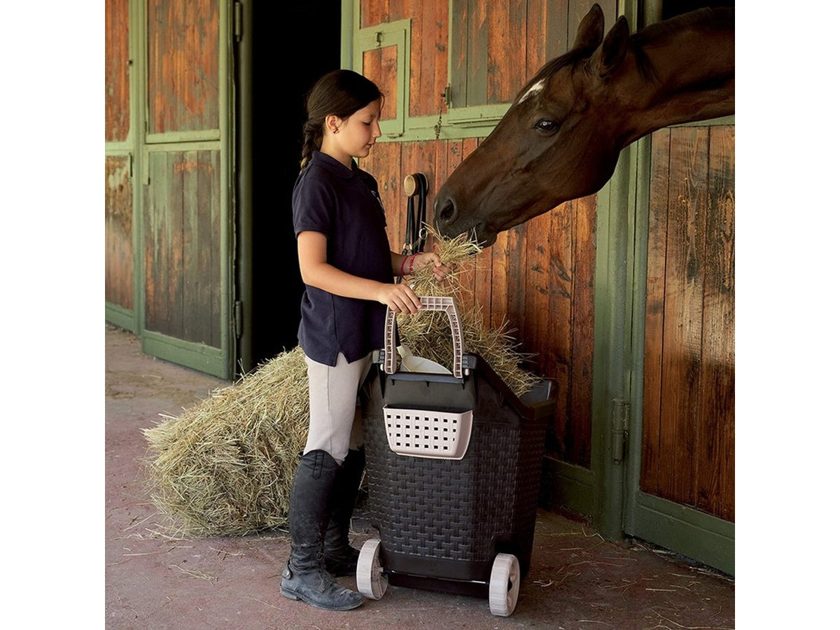 Carrello multiuso Kart con 2 ruote 76 lt. cacao per fogliame, legna e mangime