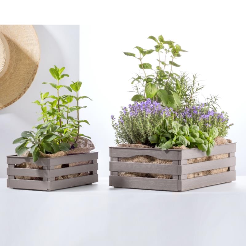 Cassettina tina tortora 10250a