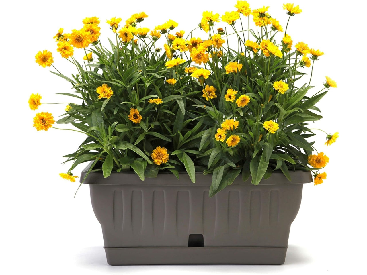 Fioriera natura c/sottovaso 50cm 30192