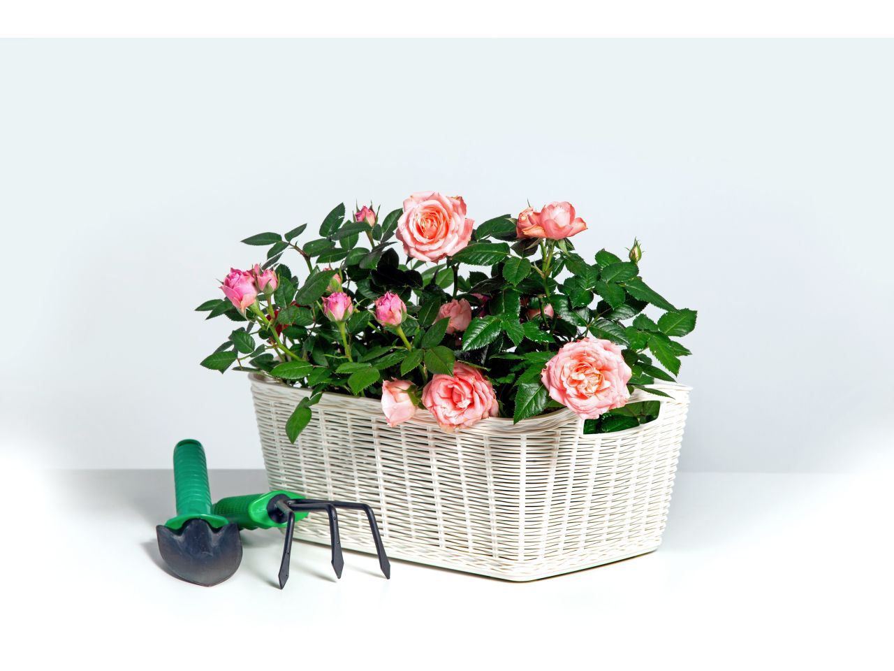 Contenitore la canestrina colore panna