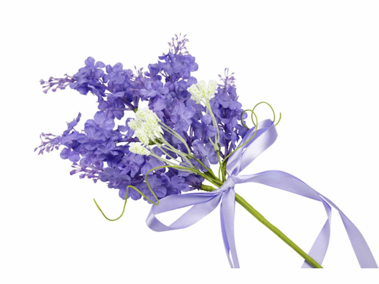 Rametto di lavanda grande 4 pezzi