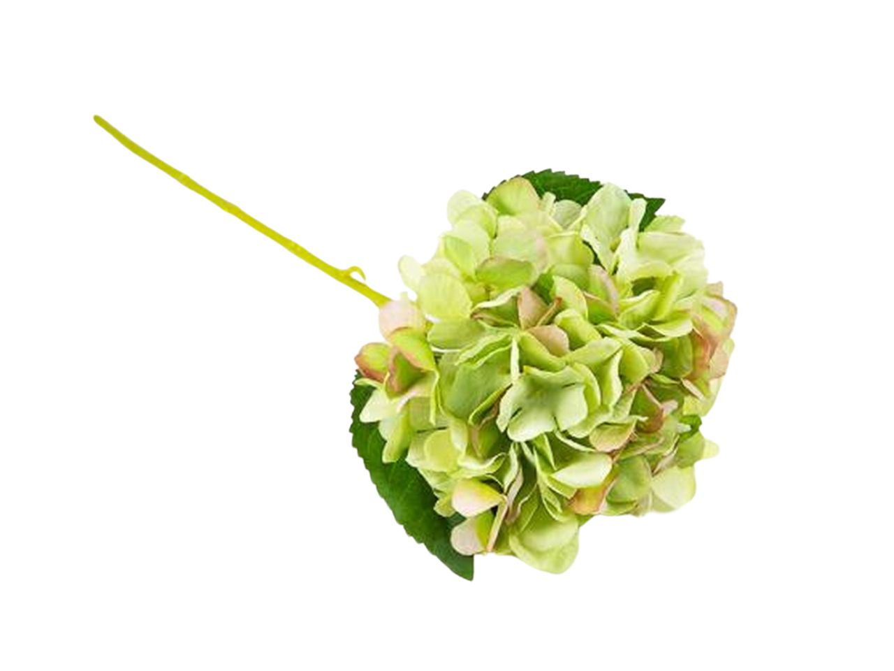 Ramo ortensia 14x35hcm verde