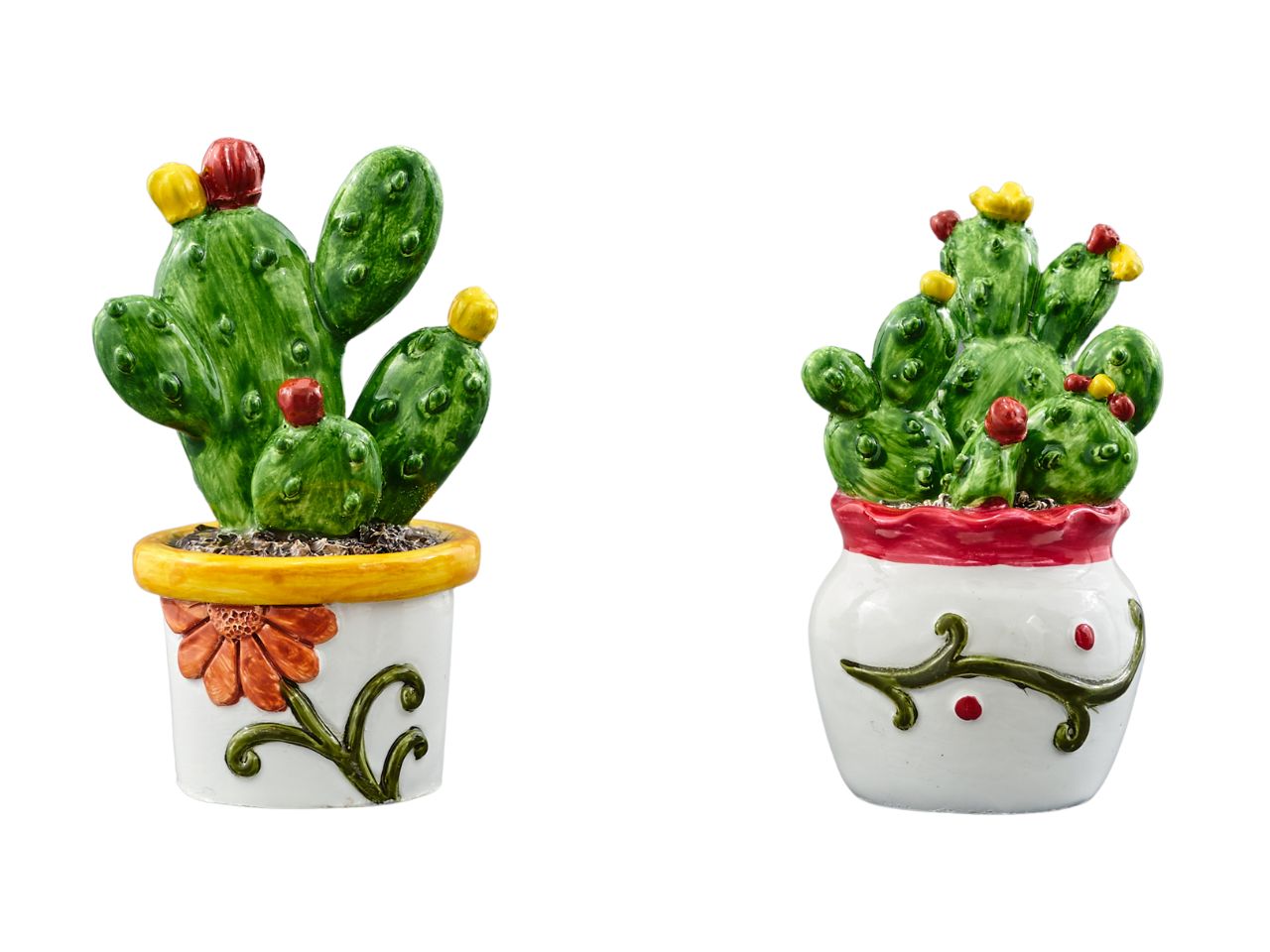 Piantina grassa disponibile in 2 assortimenti