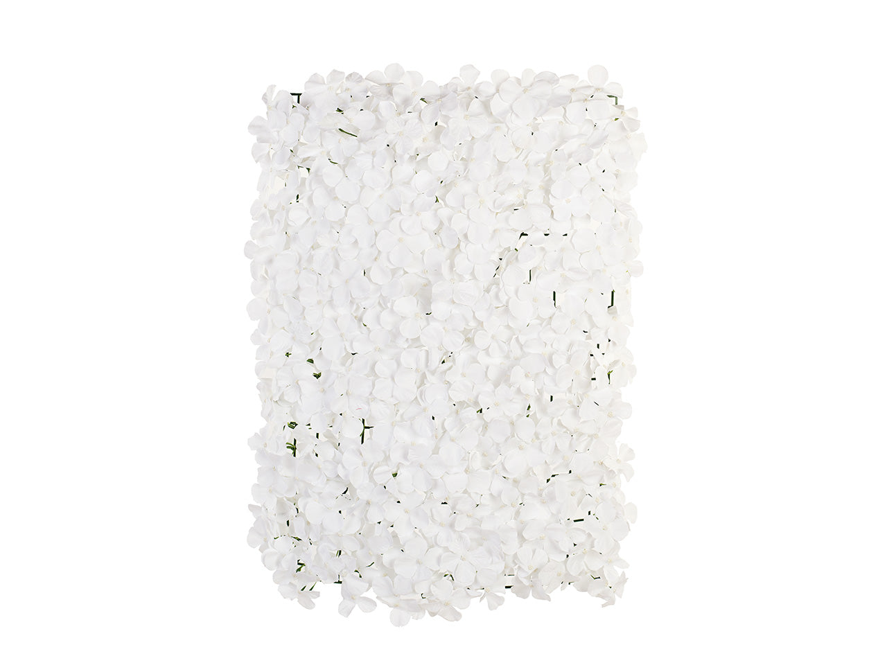 Pannello con ortensie bianche 60x40cm