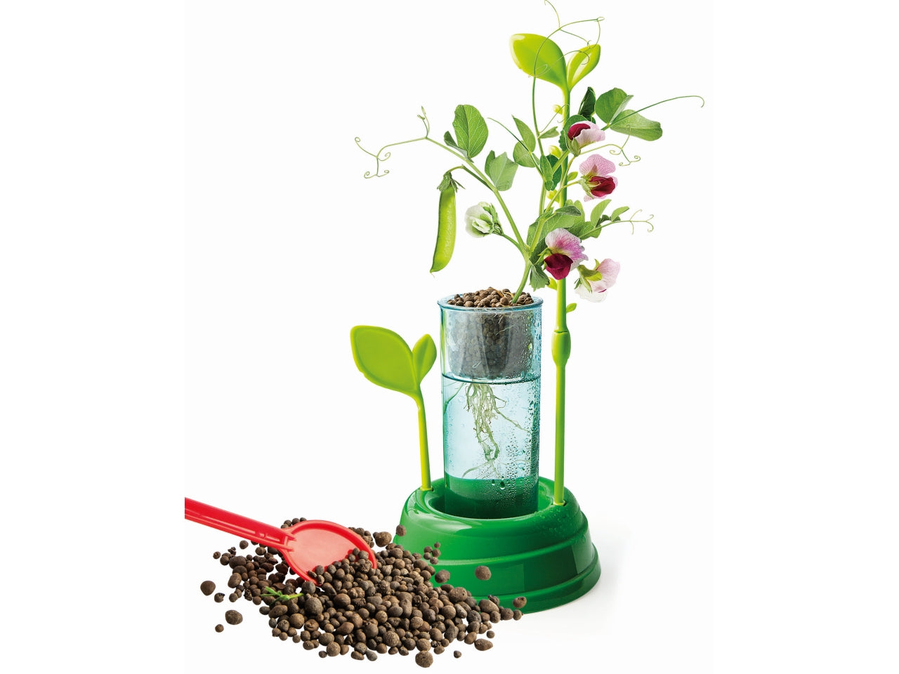 Scienza&gioco lab botanica & idrocoltura mini