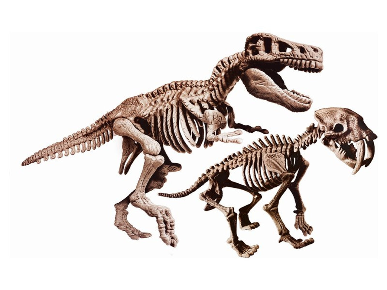 Archeogiocando T Rex e Smilodon 2 in 1 - Clementoni