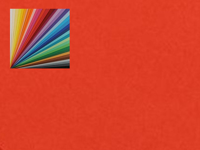 Cartoncino rigido colorato canson rosso vivo 50x70 cm 220 gr