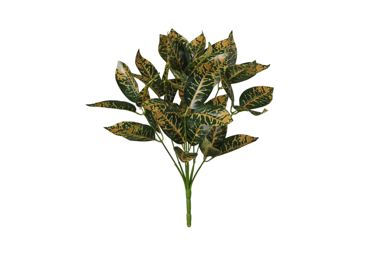 Mazzo di croton 38cm