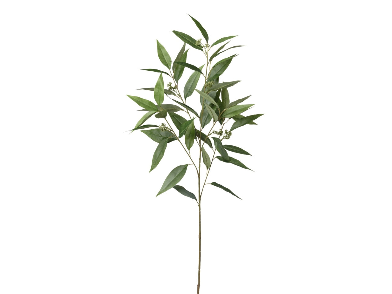 Ramo di eucalipto verde 103cm