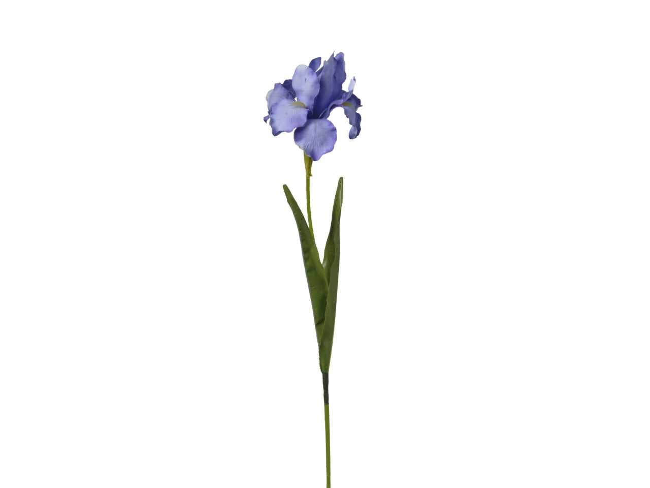 Ramo iris lavanda 63cm
