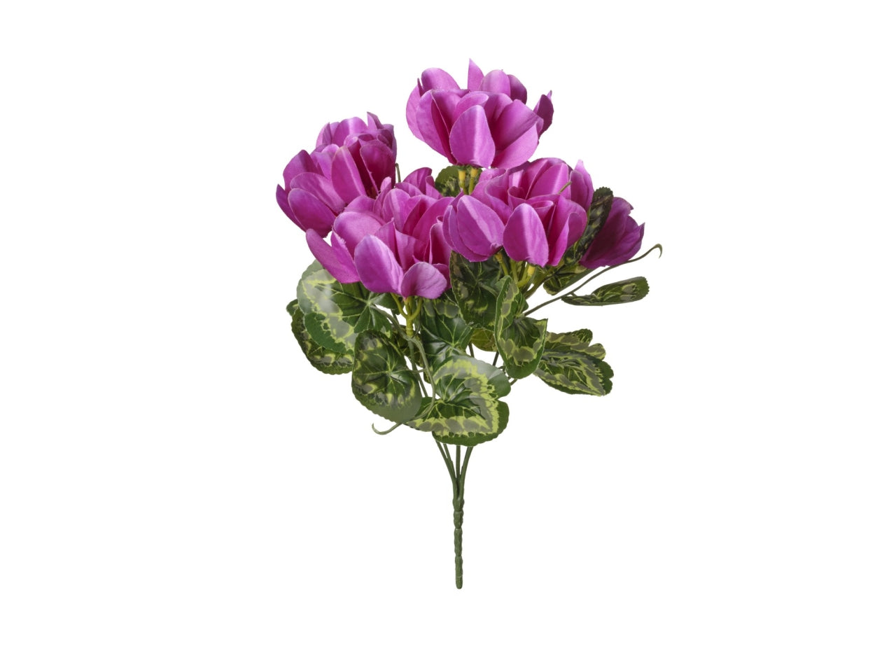 Mazzo di ciclamini viola 35cm