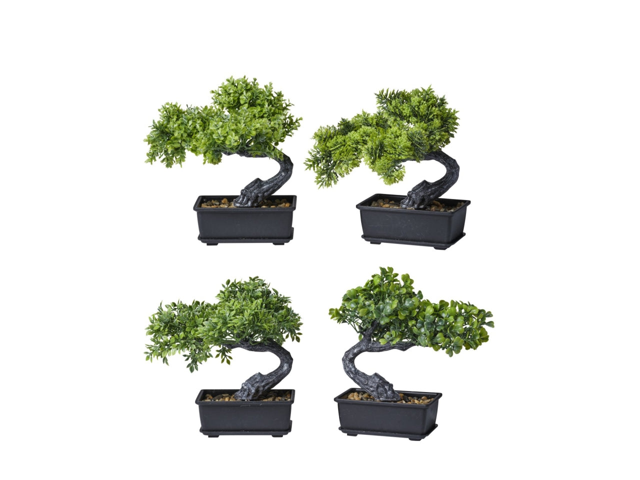 Bonsai in vaso 18x15x18cm in 4 varianti