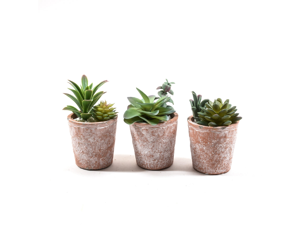 Pianta grassa con vaso in terracotta verde e marrone fogliame opaco 14x8 cm - M Home