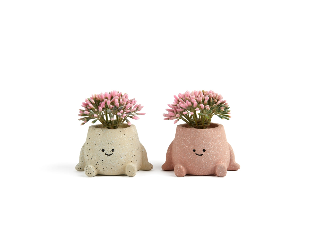 Piantina in vasetto cute in plastica e cemento 7x5,5xh.8,5cm design assortiti in espositore