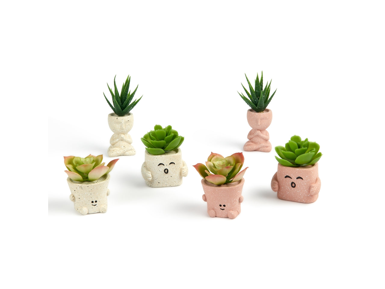 Piantina in vasetto in plastica e cemento 5,5x4,4xh.10,5cm design assortiti in espositore