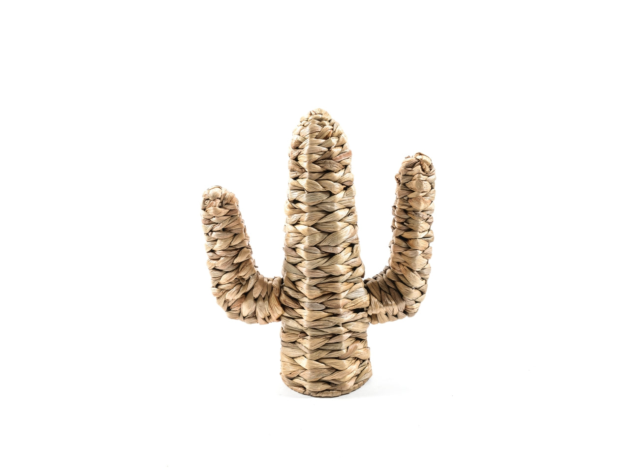 Cactus in banano 27x11,5xh.34cm