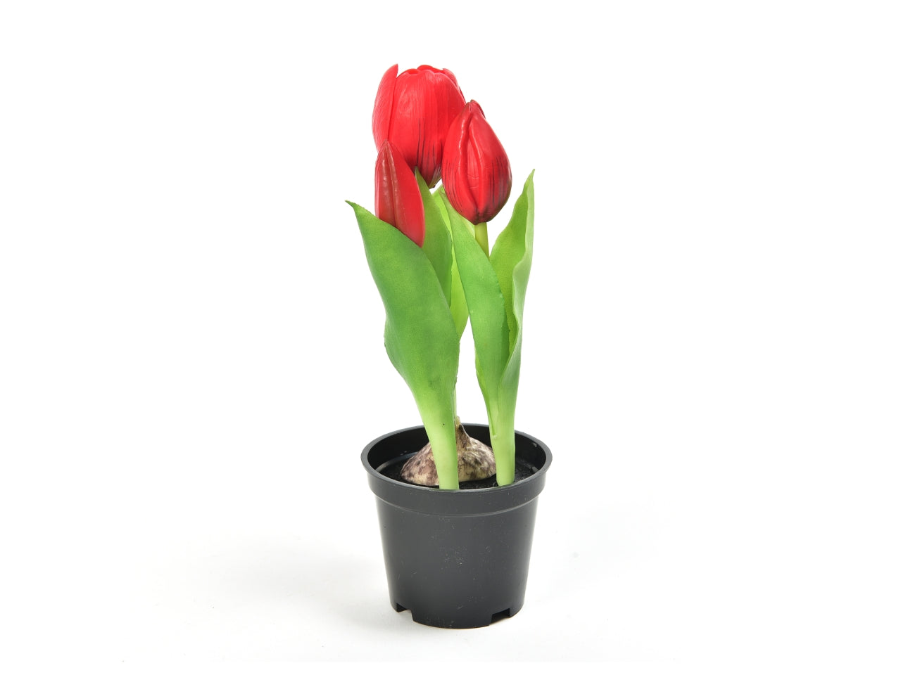 Tulipano rosso in gomma in vaso 21cm