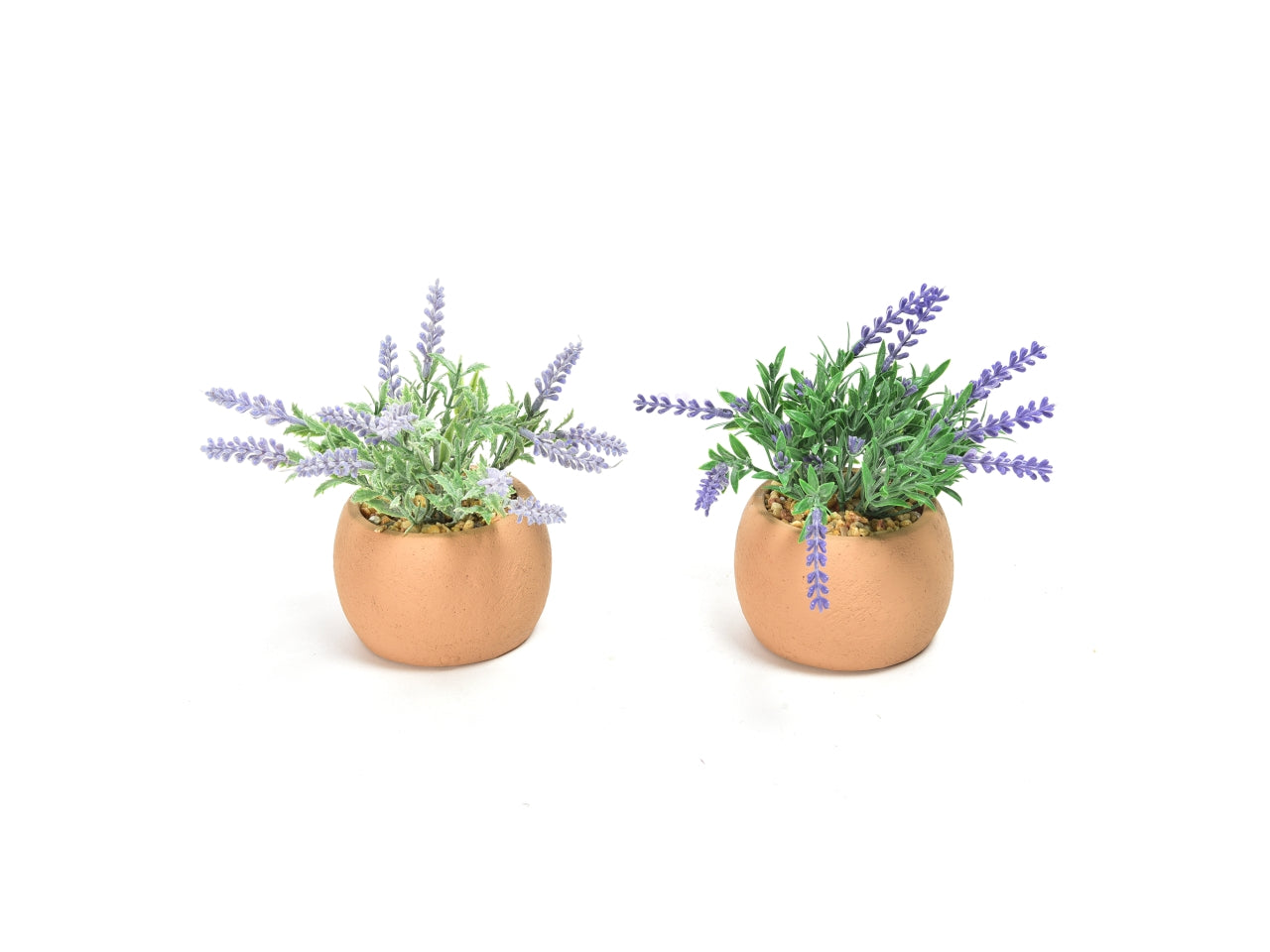 Lavanda in vaso di cemento d.9x9xh.16cm colori assortiti