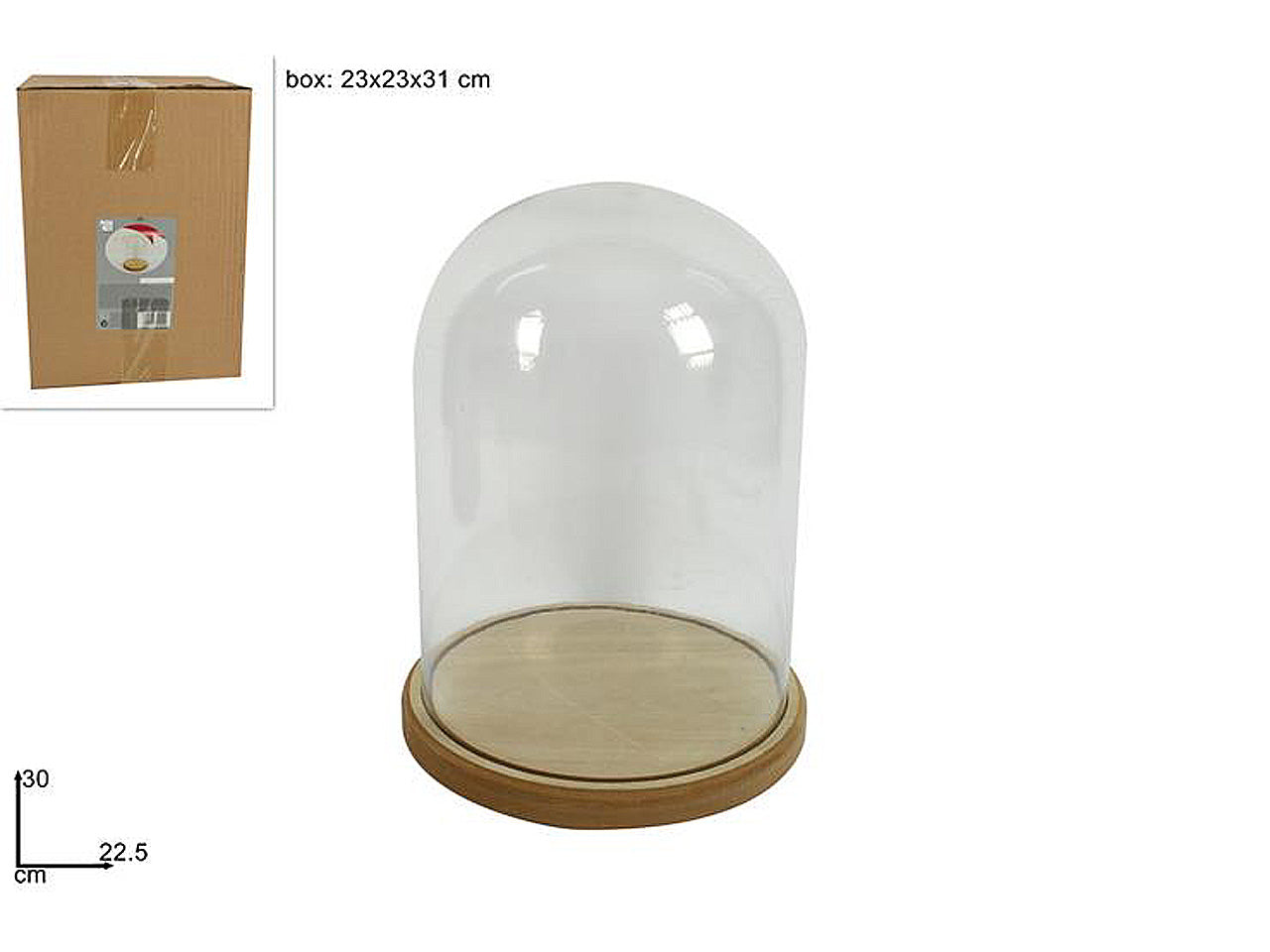 Campana in vetro vuota con base legno naturale22,5x30cm