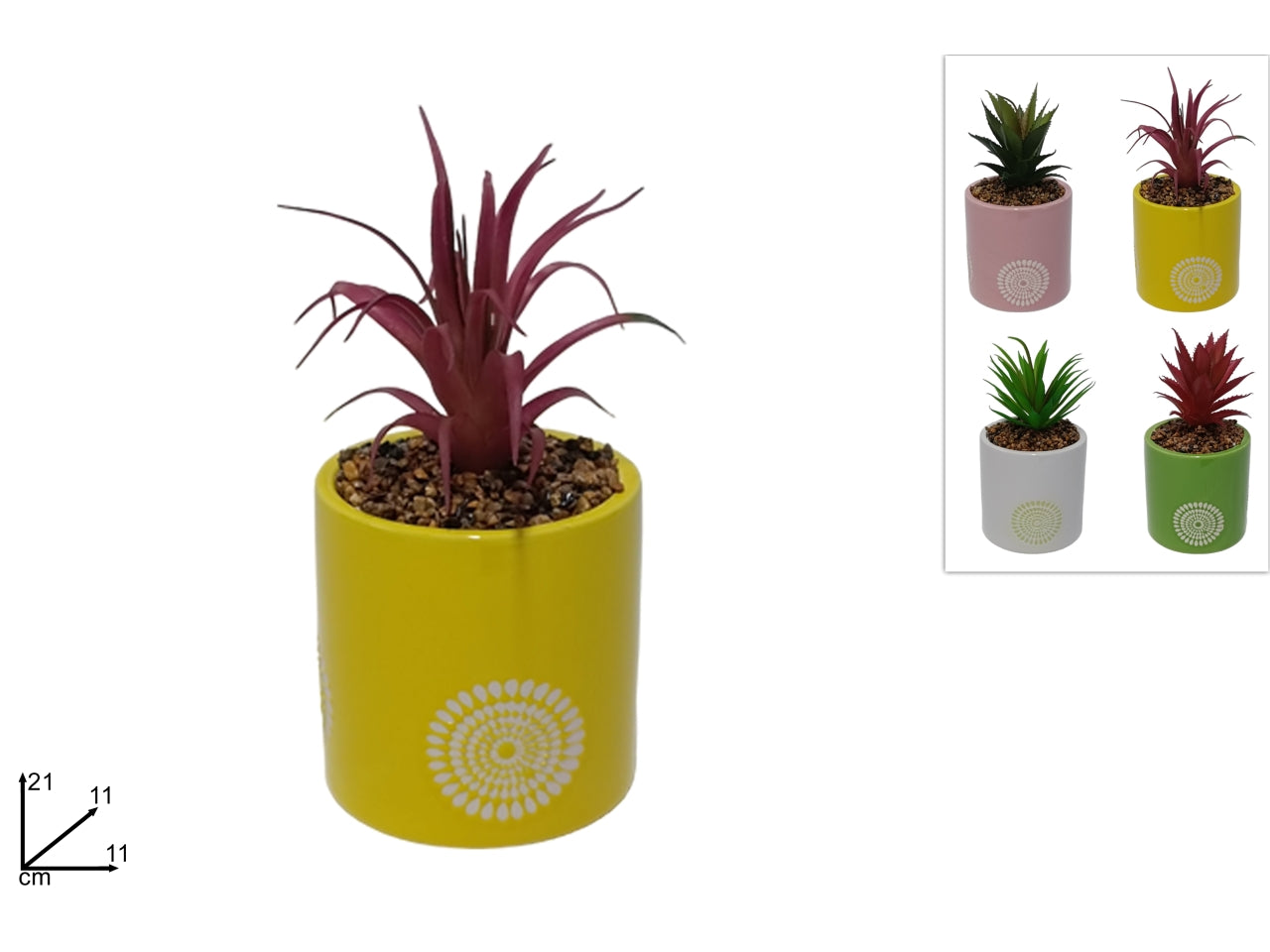 Vaso tondo ceramica con piantina grassa disponibile in 4 colori