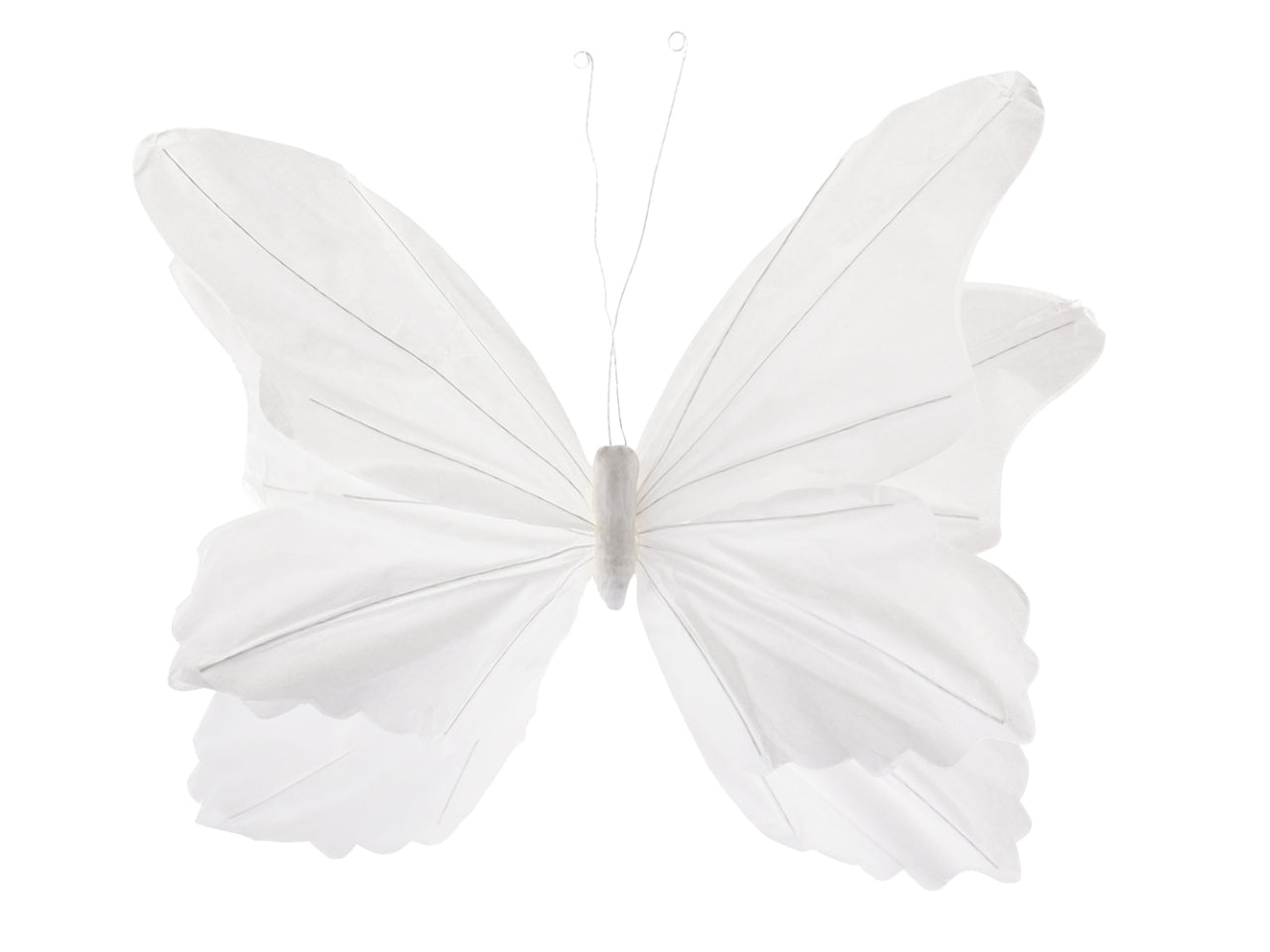 Farfalla carta 40x28cm