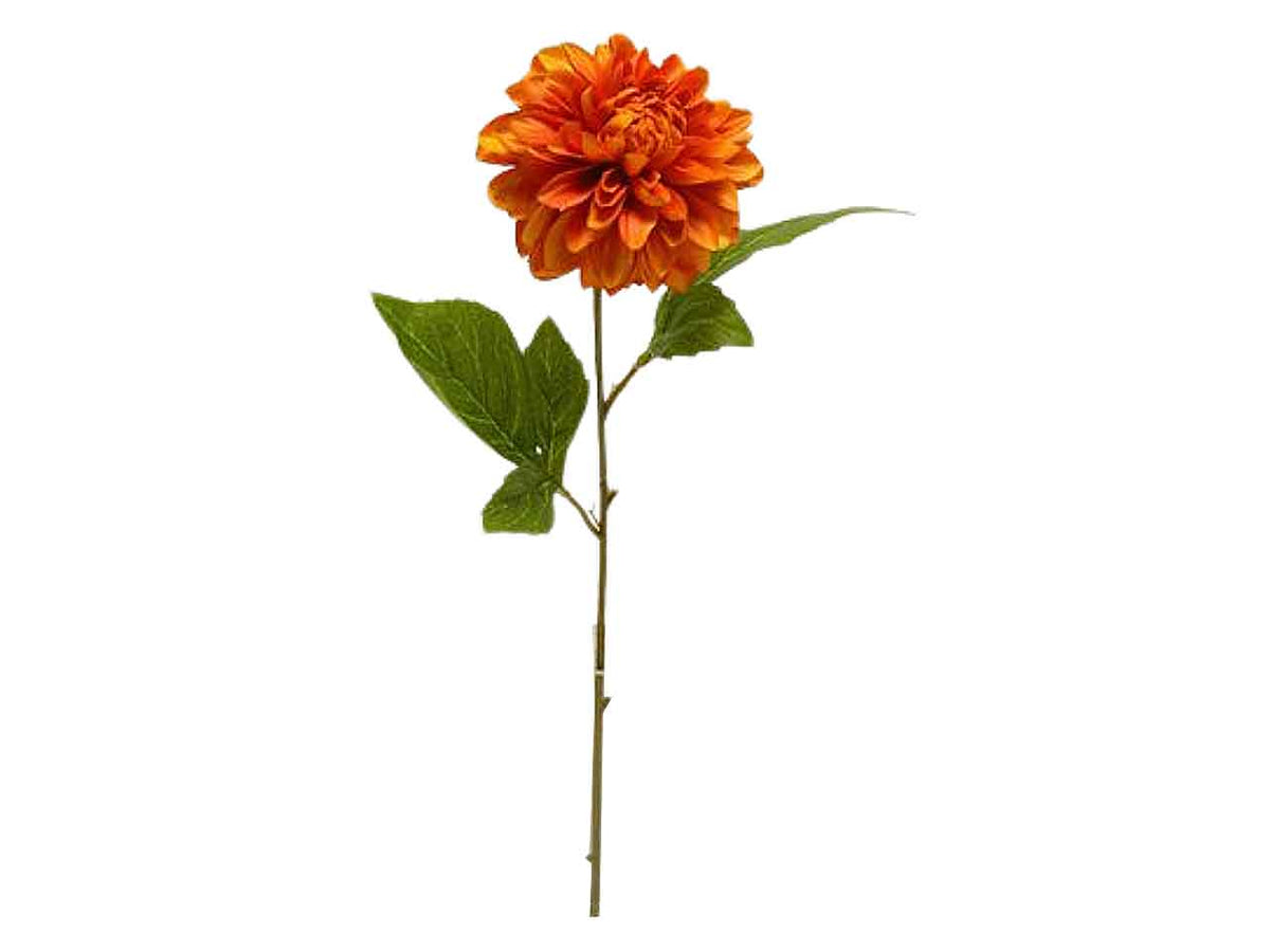 Dalia spruzzata 49cm arancio ds001391