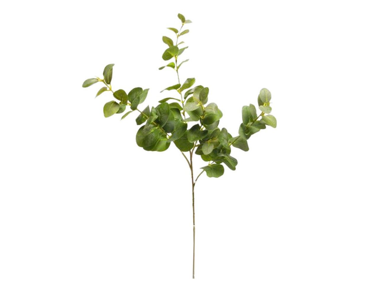 Eucalipto spruzzato x 4 colore verde 75cm