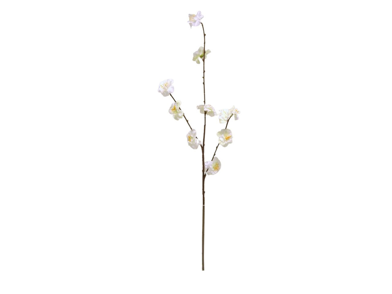 Fiore di pesco spruzzato x 3 misura 66cm colore crema