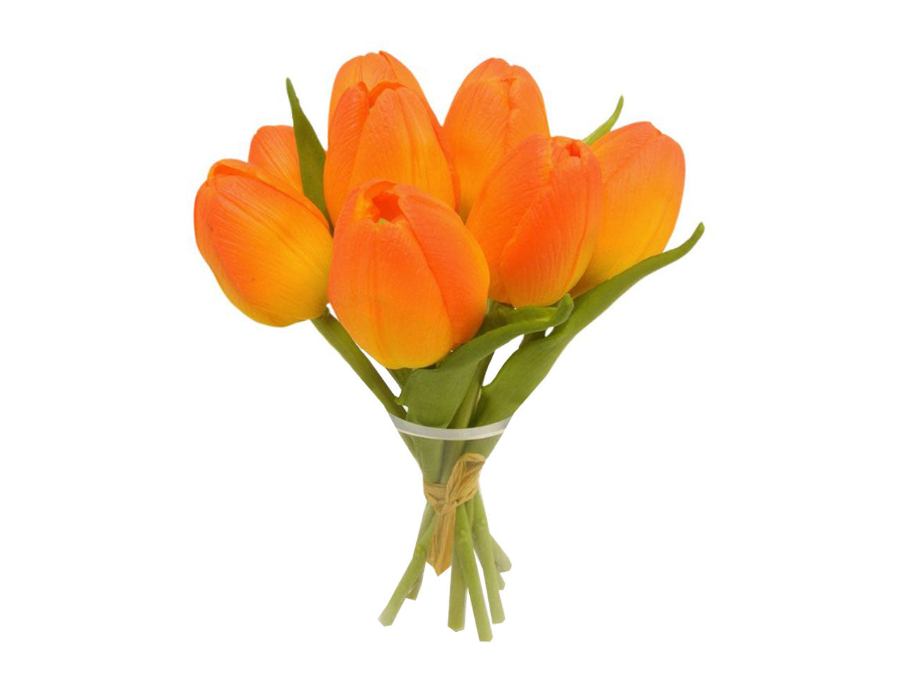 Tulipani mazzo set da 7 tulipani orange