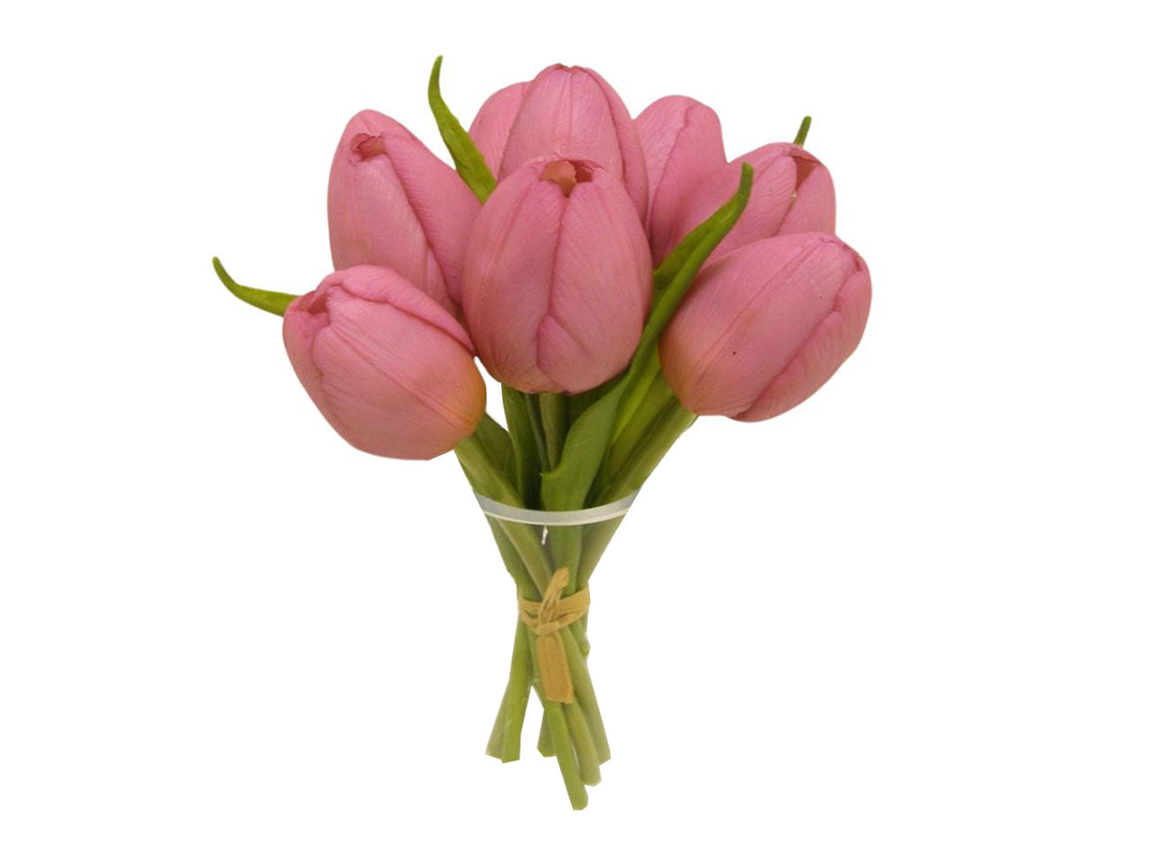 Tulipani mazzo set da 7 tulipani lavanda