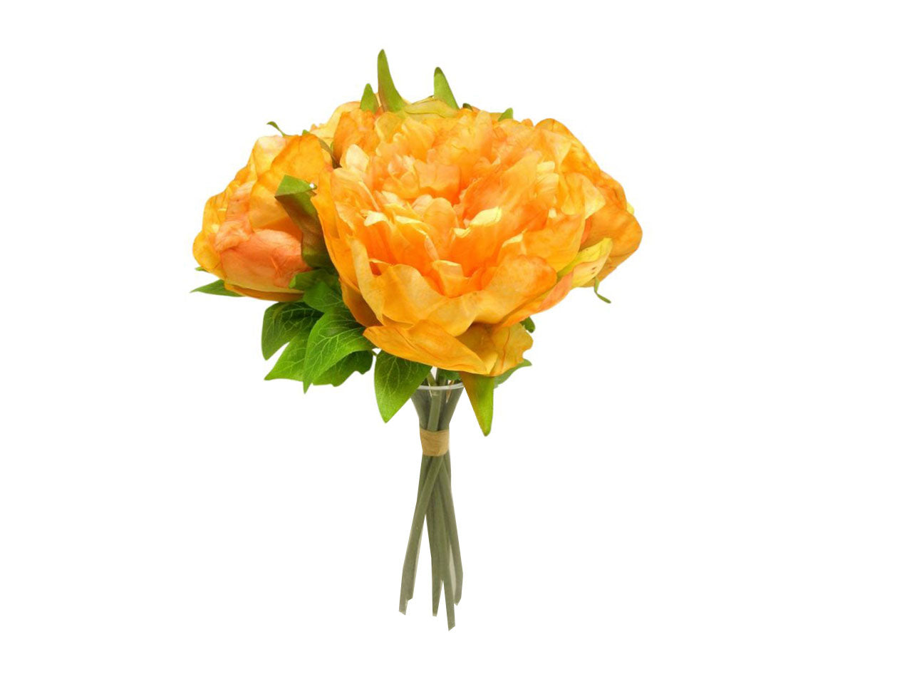 Peonia mazzo orange