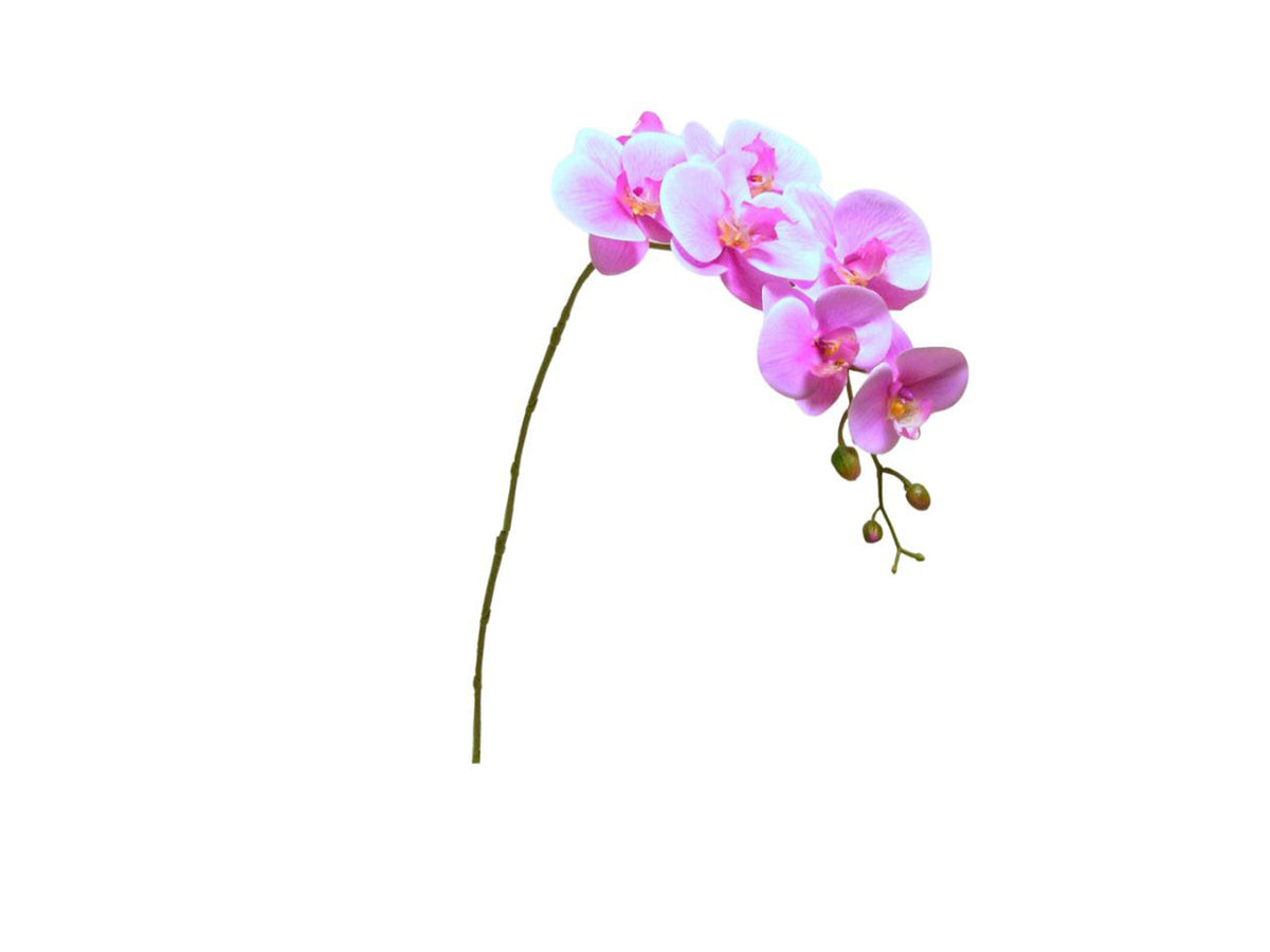 Phalaenopsis spray cm 94 mauve