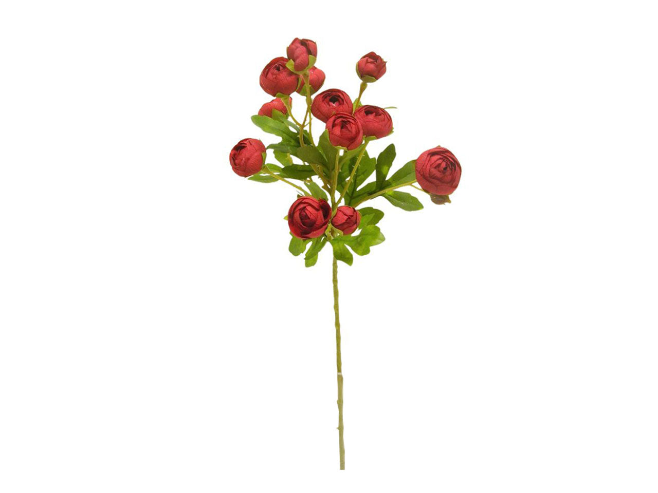 Ranunculus small spruzzato 12 fiori 56cm rosso