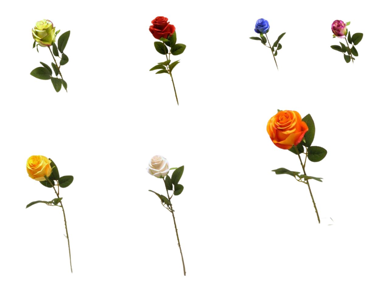 Bocciolo di rosa singola spruzzata assortito