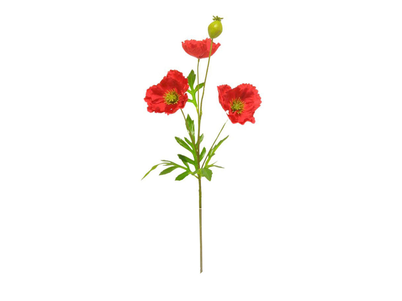 Papavero spruzzato 3 fiori 1 gemma rosso
