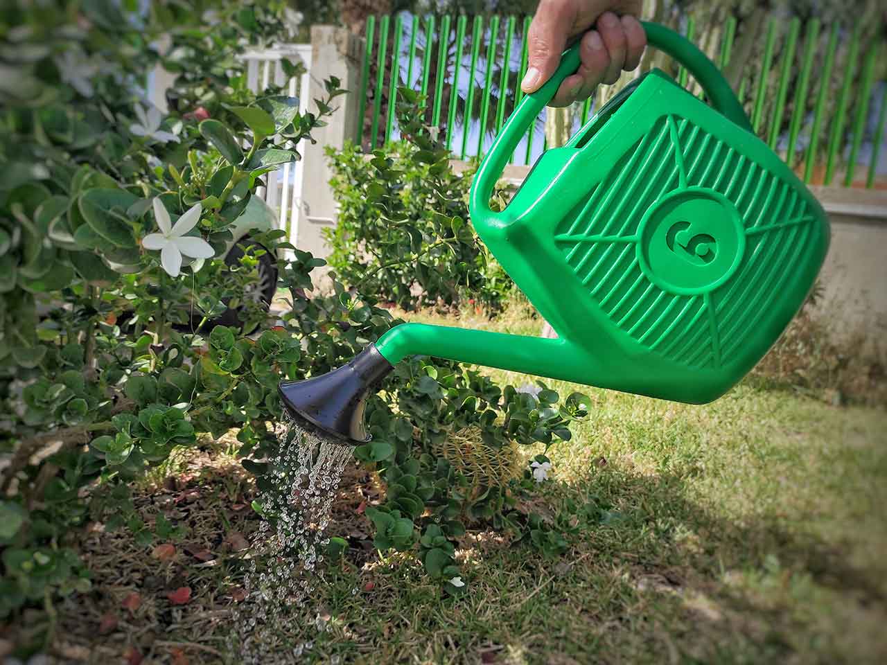 Annaffiatoio 6lt an6