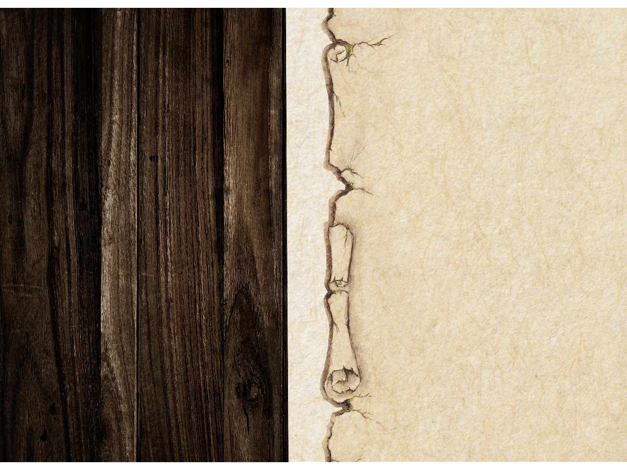 Diplomi misura 21x29,7 con stampa a caldo - la confezione comprende 10 diplomi