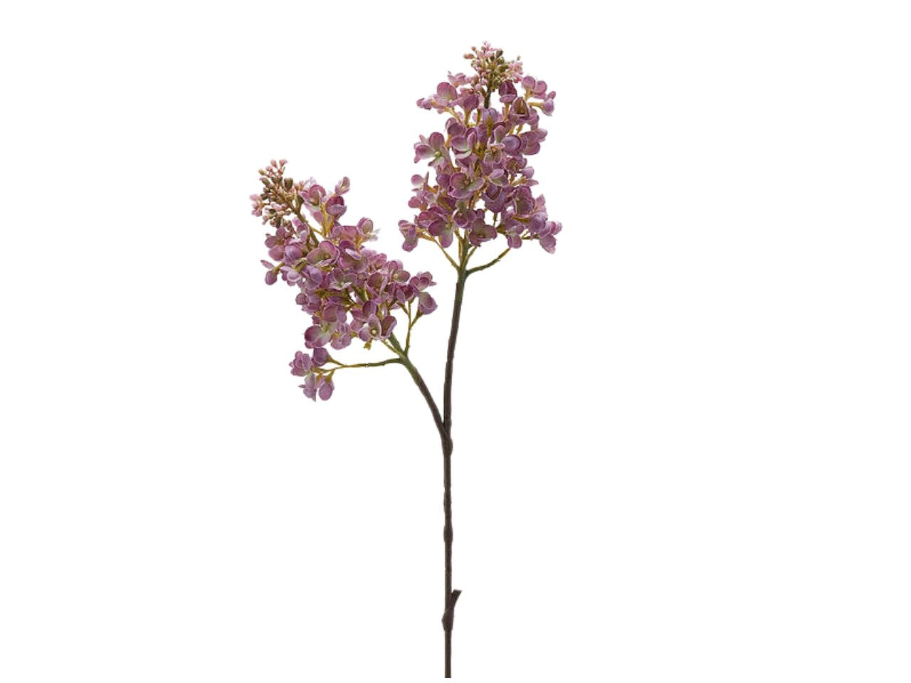 LillÃ  malva artificiale stelo con due rami in plastica - 68cm - Enzo De Gasperi