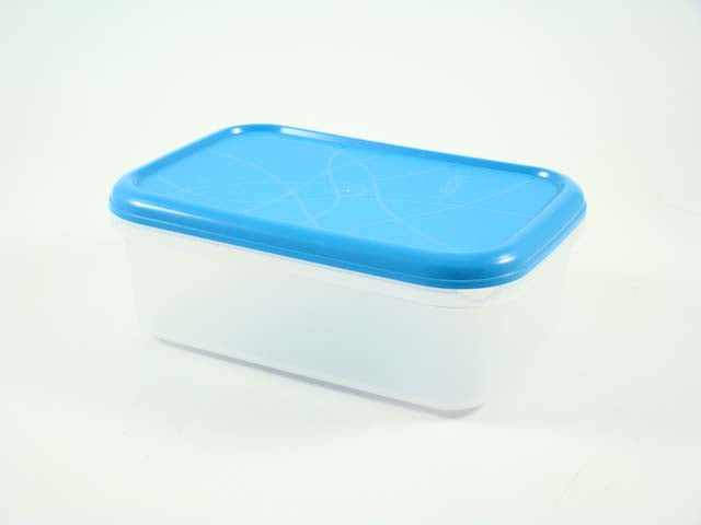 Frigo box rettangolare 0069/350