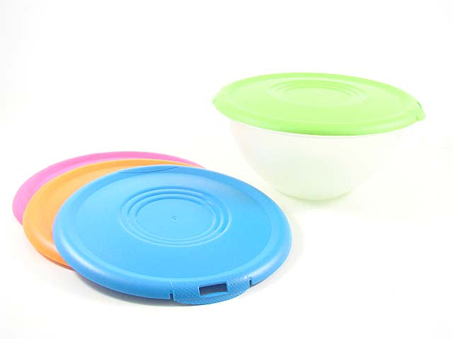 Insalatiera c/coperchio 26cm