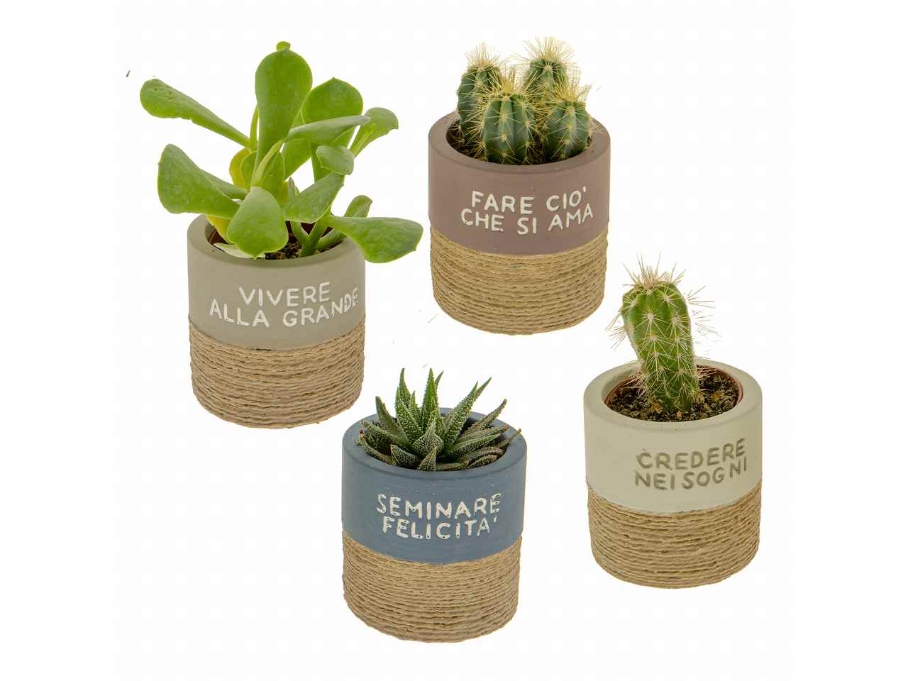 Porta piante rustic 4 assortimenti d7xh.7cm