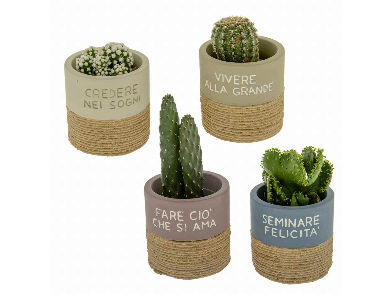 Porta piante rustic 4 assortimenti d9xh9cm