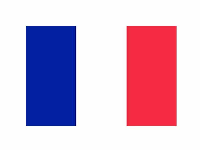Bandiera francia 150x90 +asta