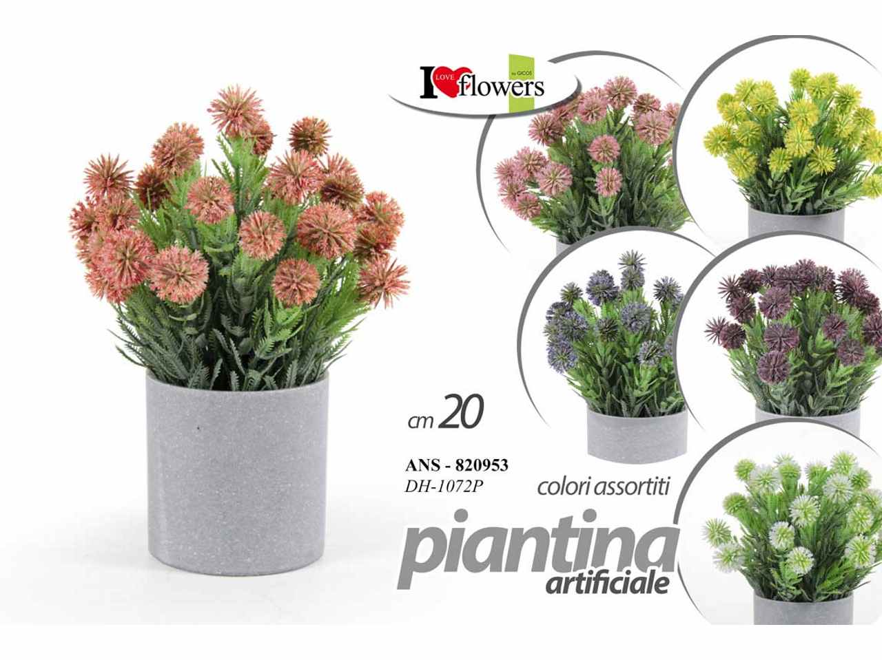 Piantina 20cm 820953