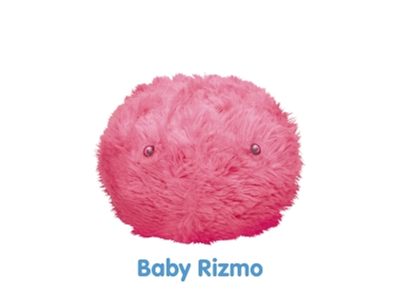Rizmo rrm00000 Â§10 $