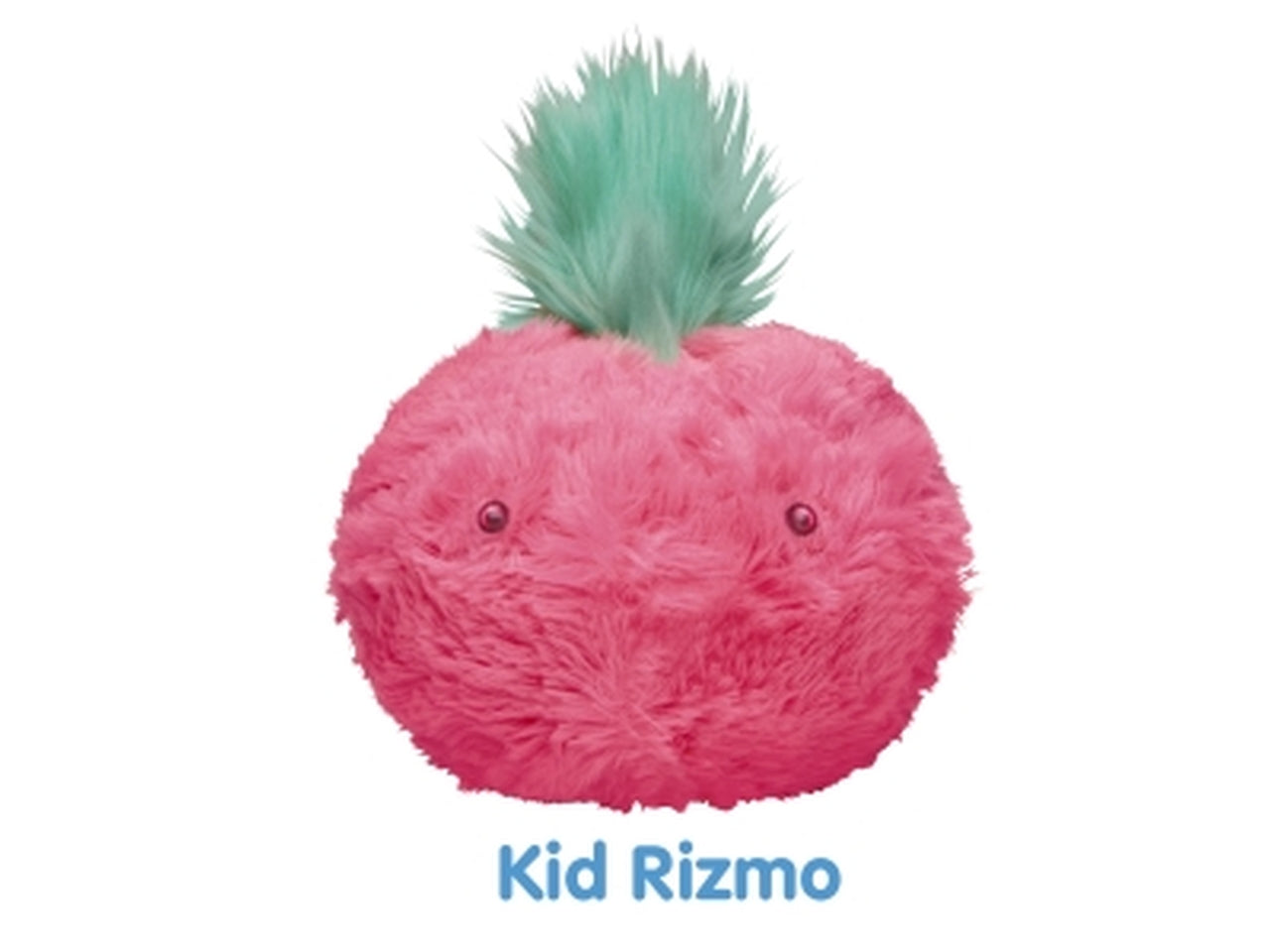 Rizmo rrm00000 Â§10 $