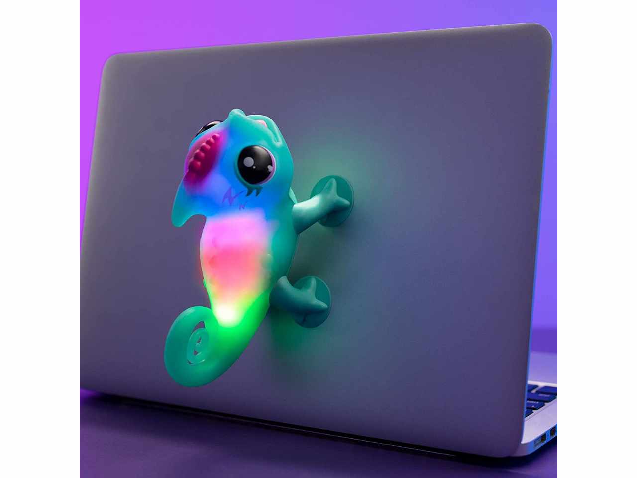 Live pets camaleontelp200000$