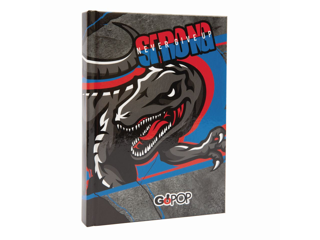 Gopop 23 diario assortito boy