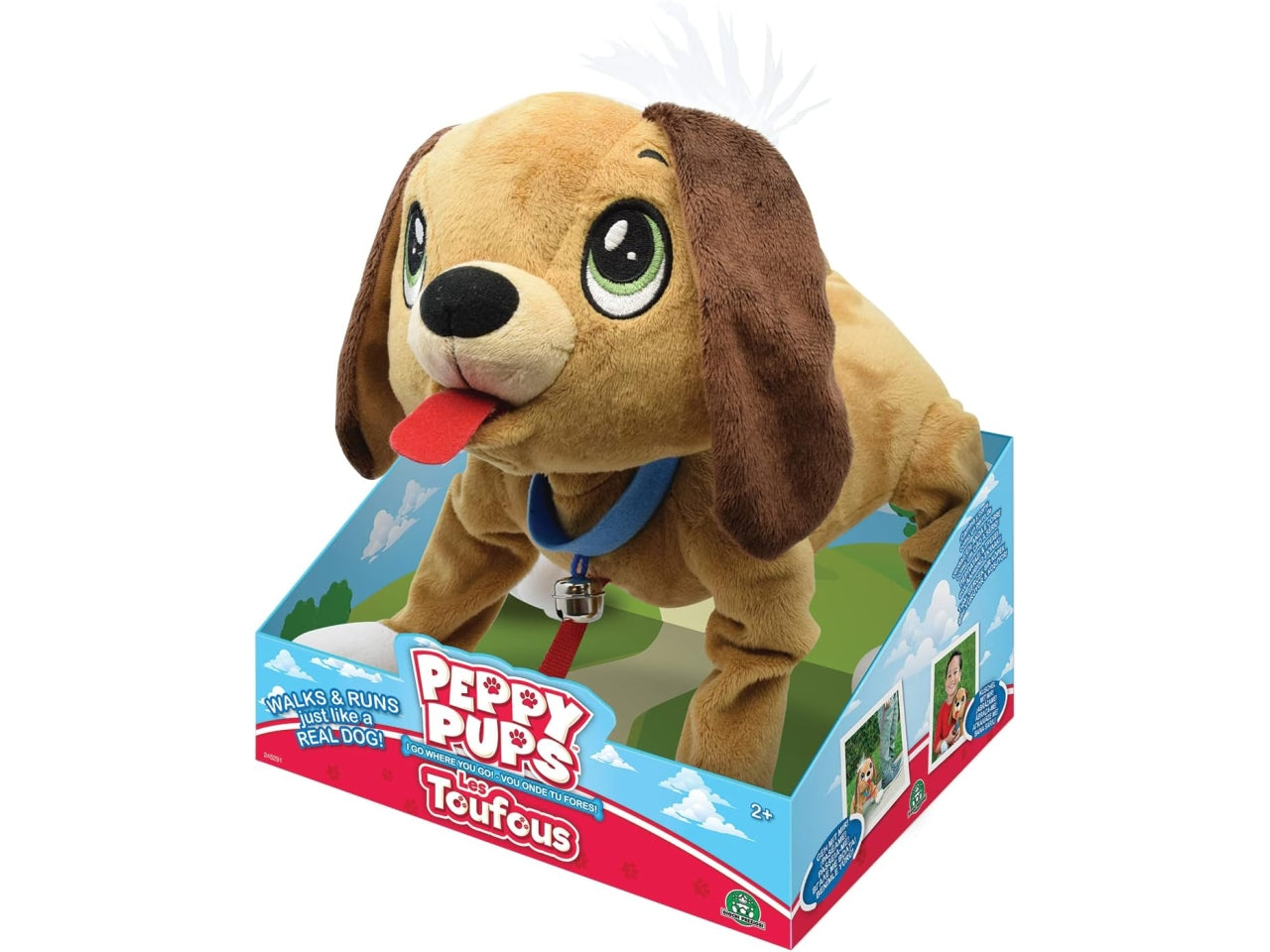Peppy pups brown dog