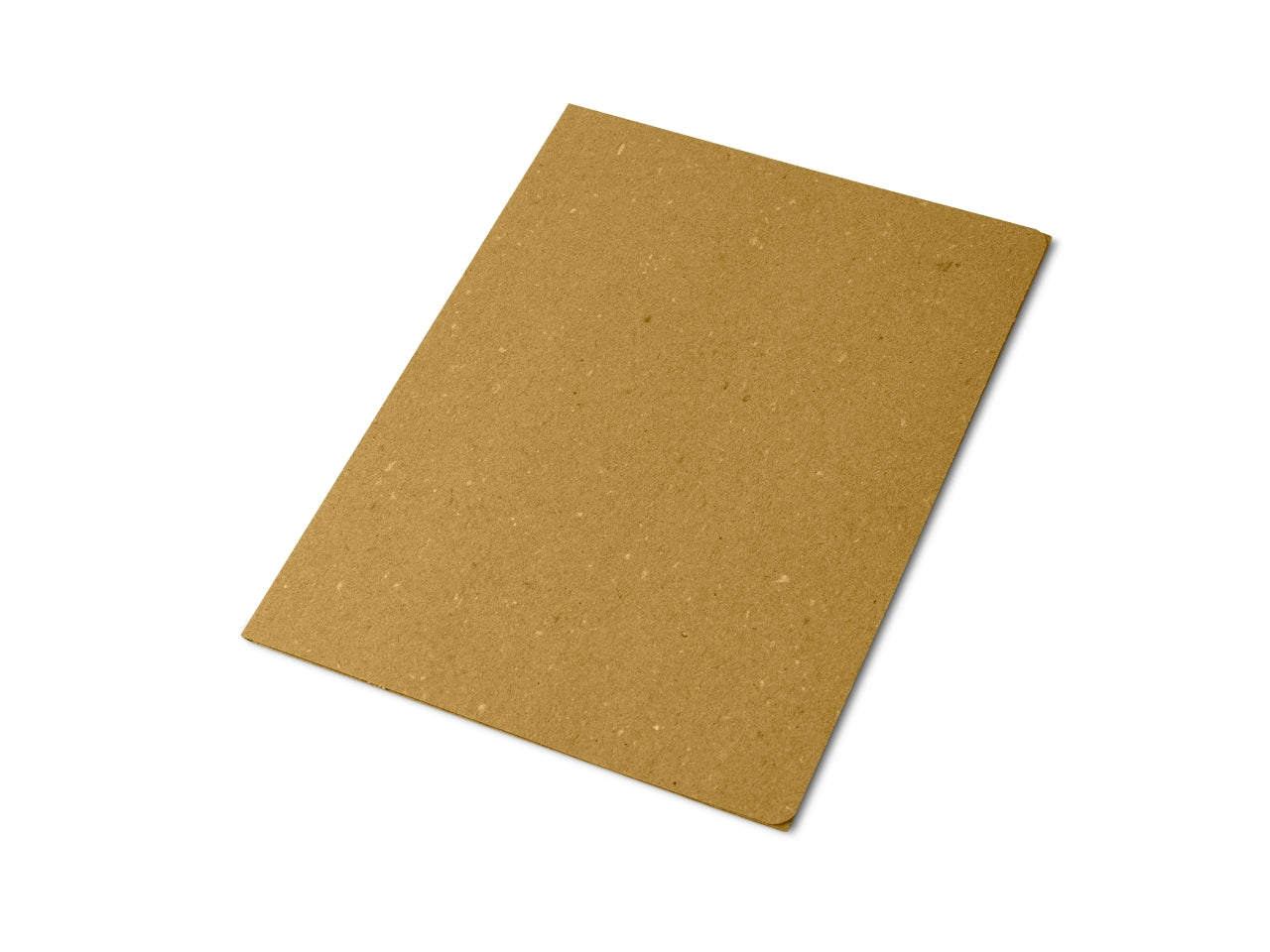 Cartelle semplici eco 50 pezzi 0221803gi